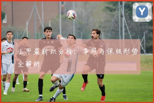 法甲最新积分榜：争冠与保级形势全解析