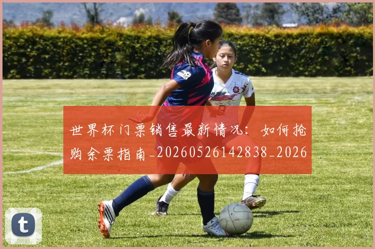 世界杯门票销售最新情况：如何抢购余票指南_20260526142838_20260607160503